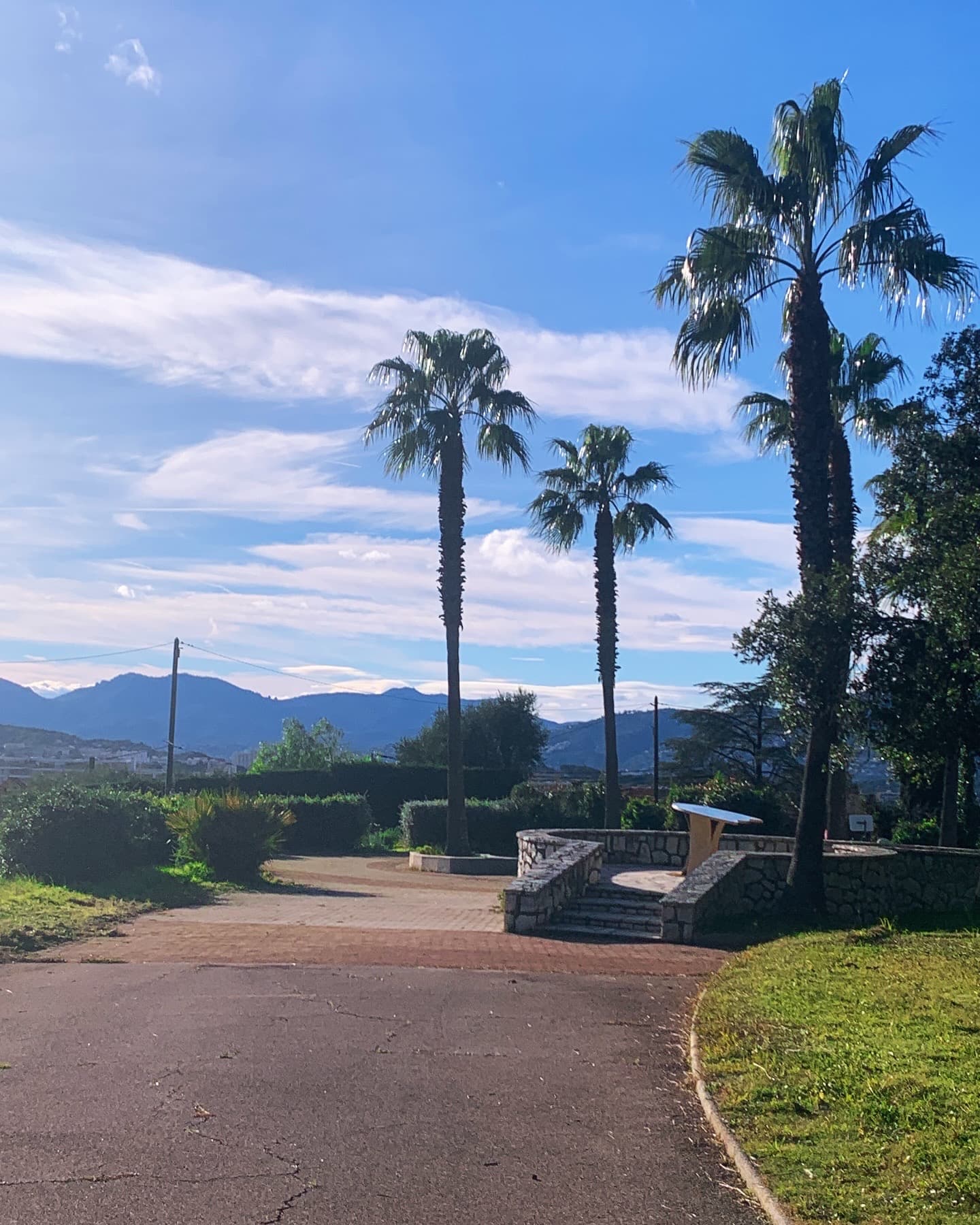 Palmiers — Côte d'Azur