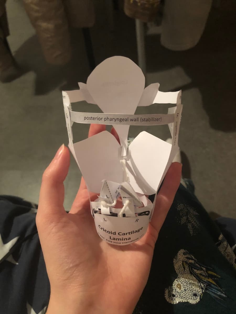 Estill larynx paper model